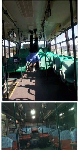 차 자랑 甲.jpg