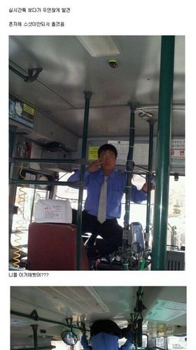 차 자랑 甲.jpg