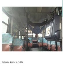 차 자랑 甲.jpg