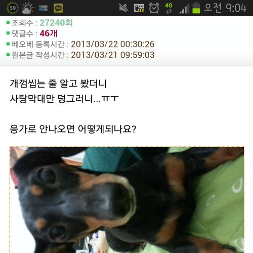 기다리지마시고 사드세요