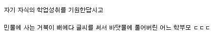 무개념 학부모 때문에 죽음을 당한 거북이