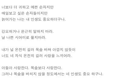 피 눈물같은 내아들아.txt