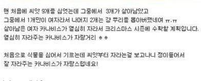 식물갤 인증.jpg