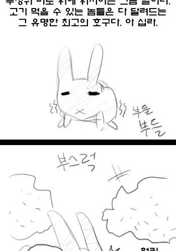 먹이사슬 만화.jpg