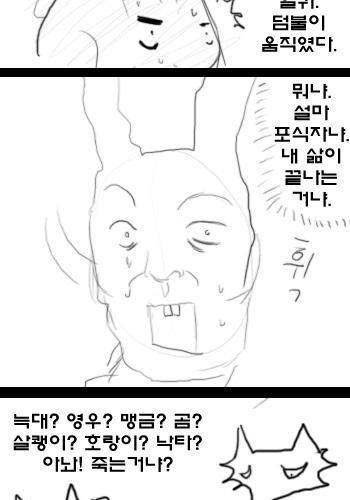 먹이사슬 만화.jpg