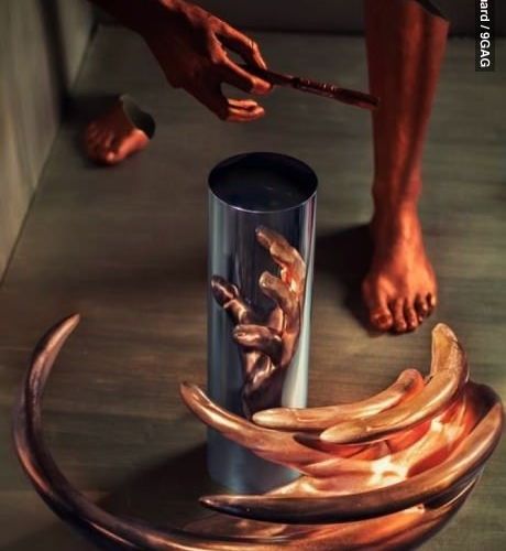 신선한 예술 작품.jpg