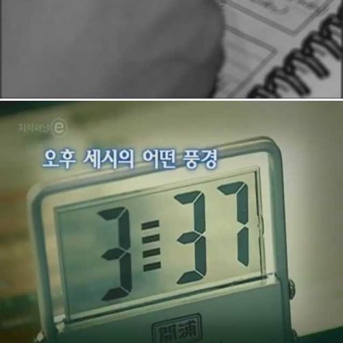 [스압]오후 세시의 풍경.jpg