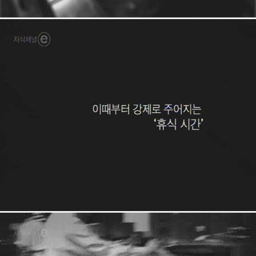 [스압]오후 세시의 풍경.jpg