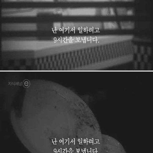 [스압]오후 세시의 풍경.jpg