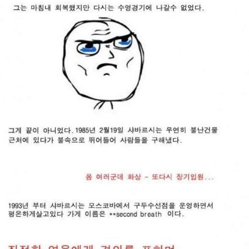 추운대륙의 흔한 수영선수