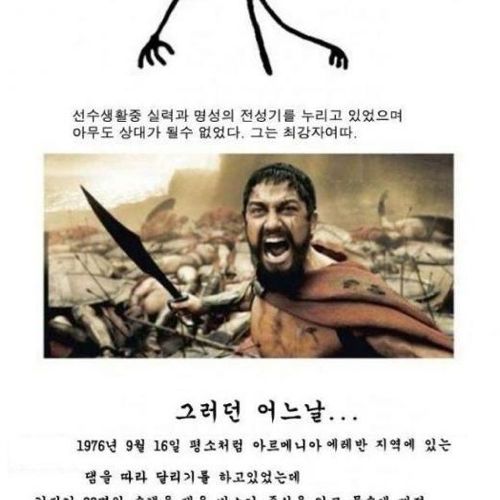 추운대륙의 흔한 수영선수