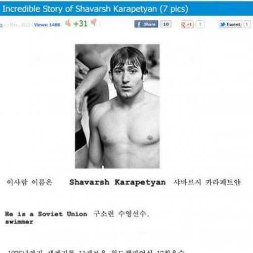 추운대륙의 흔한 수영선수