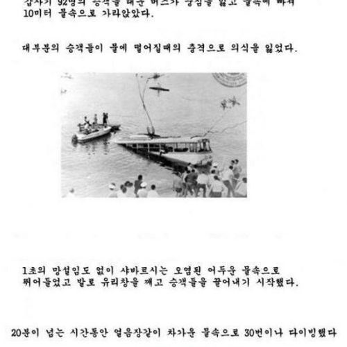 추운대륙의 흔한 수영선수