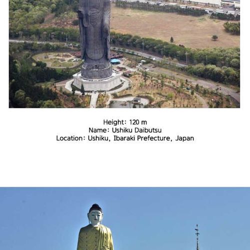 동상크기 순위.jpg