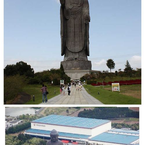 동상크기 순위.jpg
