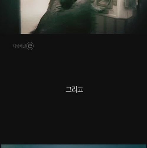 [스압]버튼을 누르지않는 이유