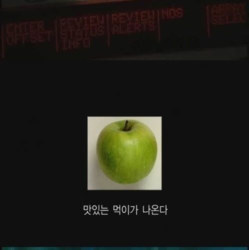 [스압]버튼을 누르지않는 이유