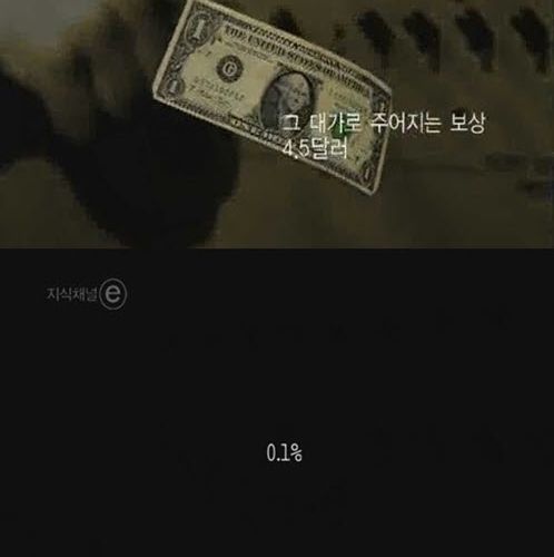 [스압]버튼을 누르지않는 이유