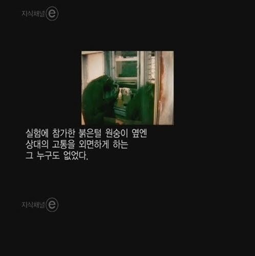 [스압]버튼을 누르지않는 이유