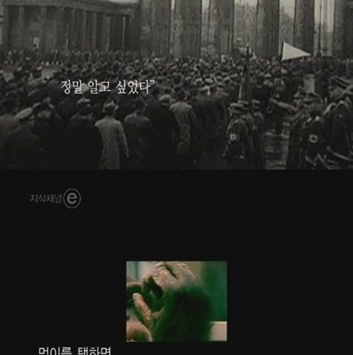 [스압]버튼을 누르지않는 이유