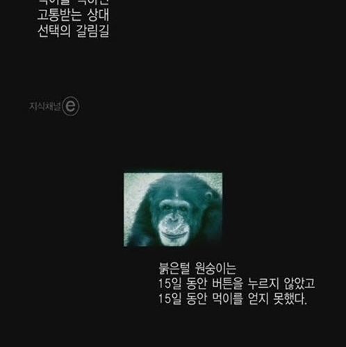 [스압]버튼을 누르지않는 이유