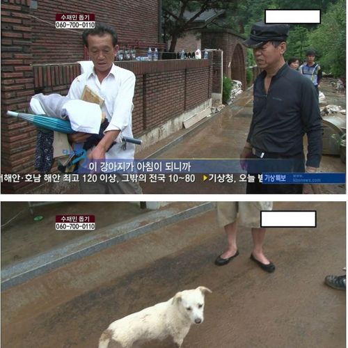 개뿌듯.jpg