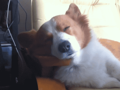 출입문 출입문 닫습니다.gif