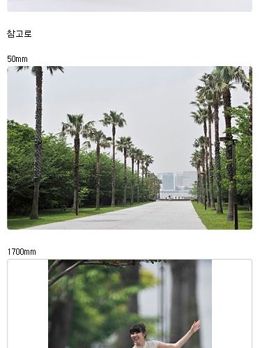 1200mm~1700mm렌즈의 위엄