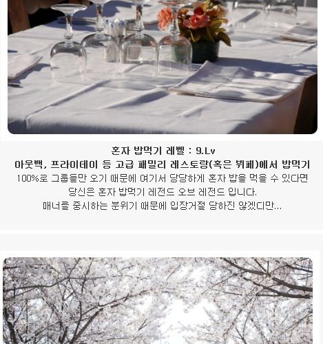 혼자 밥먹기 레벨.jpg