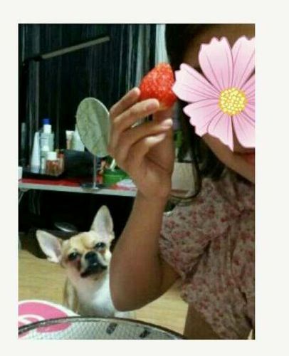 제발 떨어뜨려라..jpg