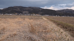 괜찮아 자연스러웠어.gif