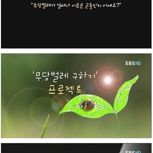 장래가 기대되는 여중생.jpg