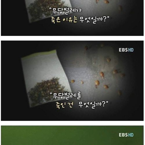장래가 기대되는 여중생.jpg