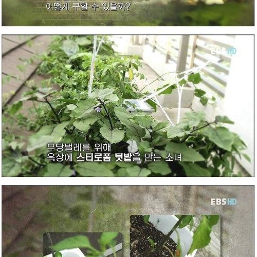 장래가 기대되는 여중생.jpg