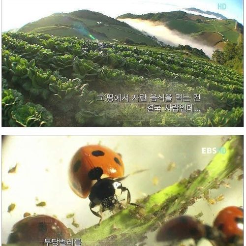 장래가 기대되는 여중생.jpg