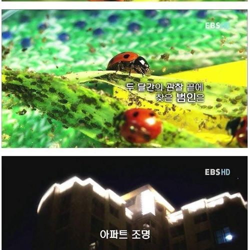 장래가 기대되는 여중생.jpg