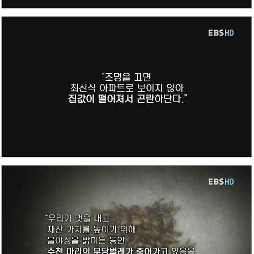 장래가 기대되는 여중생.jpg