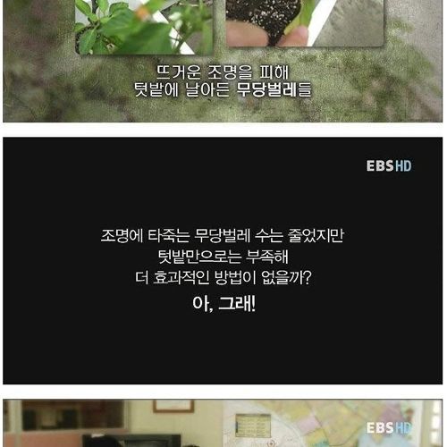 장래가 기대되는 여중생.jpg