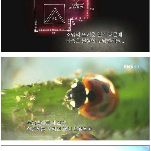 장래가 기대되는 여중생.jpg