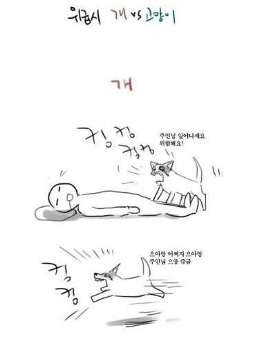 위급시 개와 고양이.jpg
