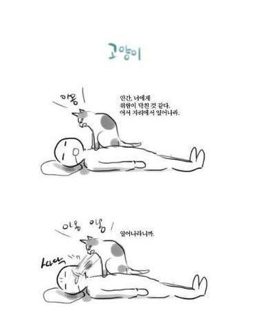 위급시 개와 고양이.jpg