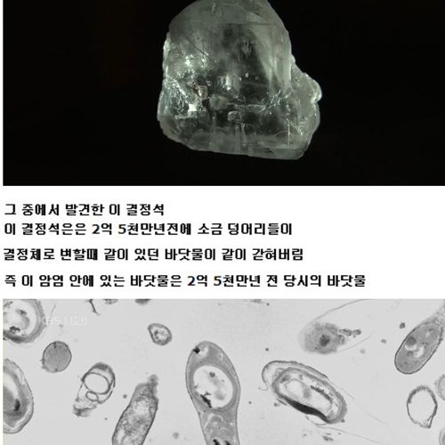 기다림 종결.jpg