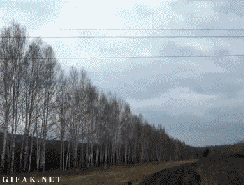 체인 라이트닝.gif