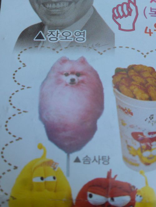 무서운 솜사탄.jpg