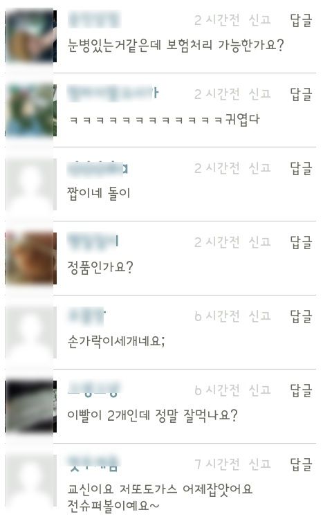 애완동물 팔아요.jpg