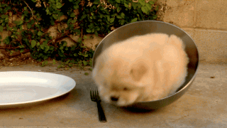 여기서 빠져나가야겠어.gif