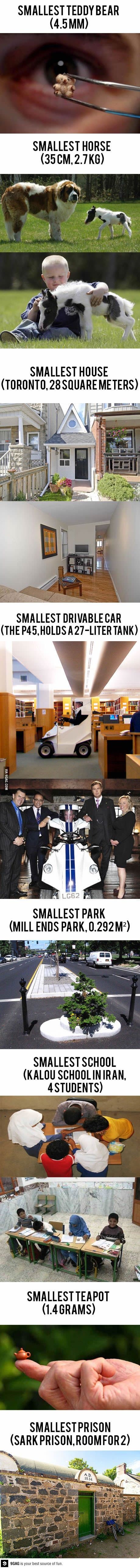 세상에서 가장 작은것.jpg