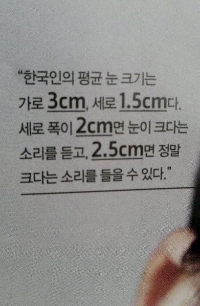 한국인의 평균 눈크기.jpg