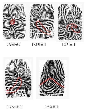 [글 스스압]지문으로 보는 성격