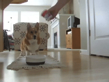 오오오오 밥이다.gif
